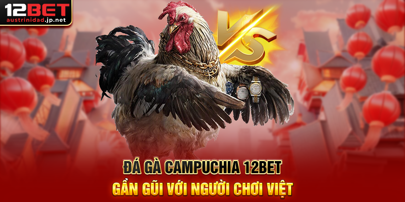 Đá Gà Campuchia 12BET – Trận Đấu Hấp Dẫn, Thách Thức Mọi Cao Thủ Đá Gà Campuchia 12BET Gần Gũi Với Người Chơi Việt