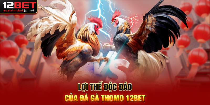 Đá Gà Thomo 12BET – Đặt Cược Nhanh, Rút Thưởng Dễ Dàng Lợi Thế Độc Đáo Của Đá Gà Thomo 12BET