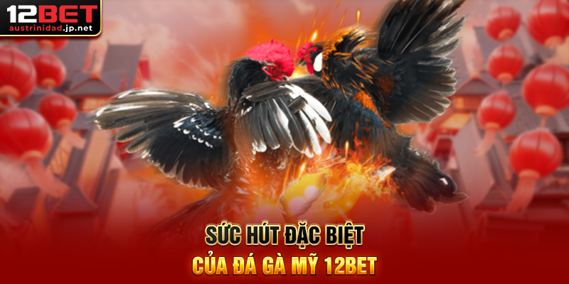 Khám Phá Đá Gà Mỹ 12BET – Đỉnh Cao Cá Cược Truyền Thống Sức Hút Đặc Biệt Của Đá Gà Mỹ 12BET