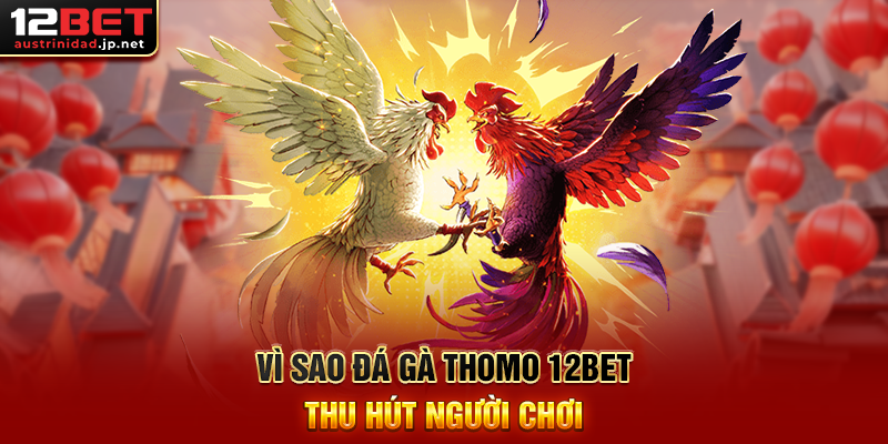 Vì Sao Đá Gà Thomo 12BET Thu Hút Người Chơi